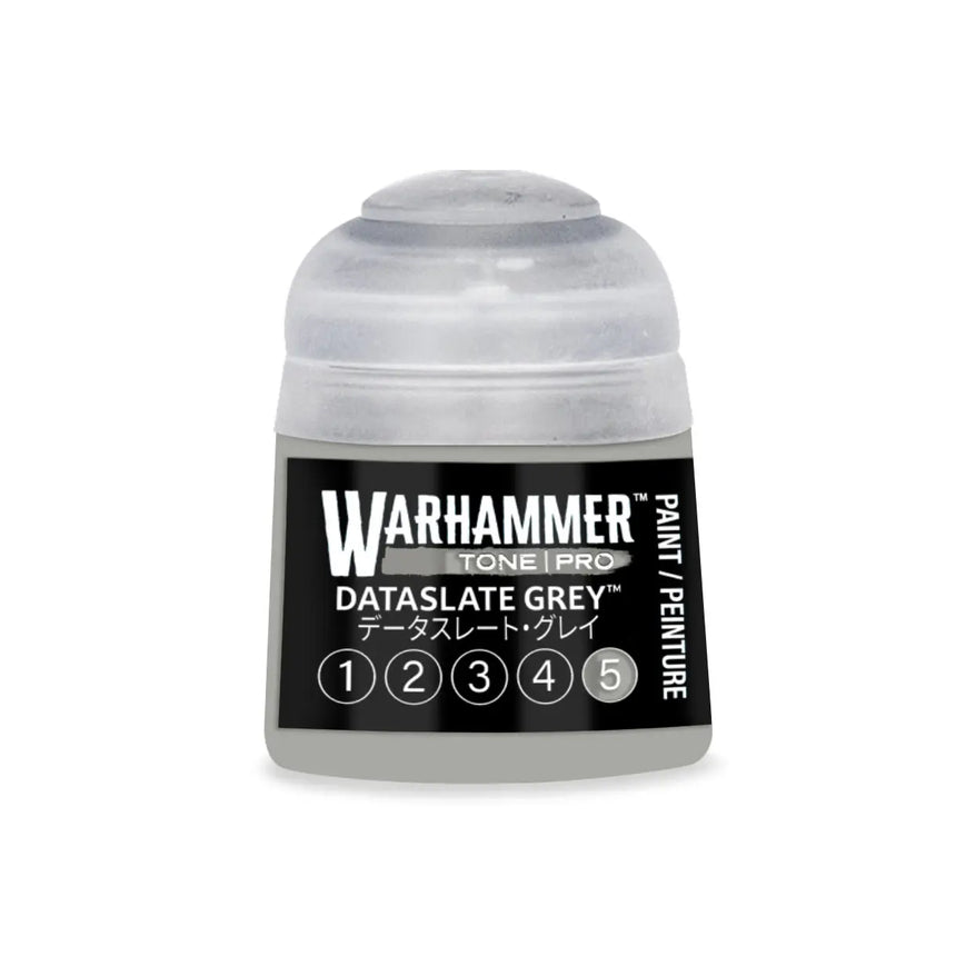 Tone Pro Paint: Dataslate Grey