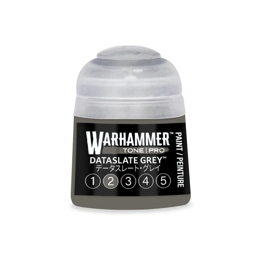 Tone Pro Paint: Dataslate Grey