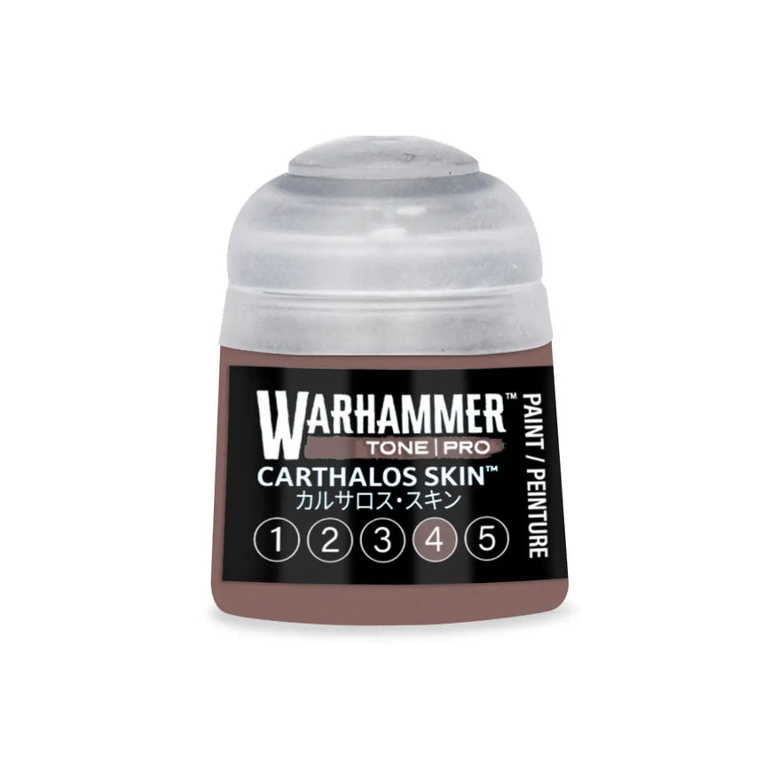 Tone Pro Paint: Carthalos Skin
