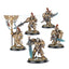 Custodian Guard