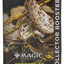 Magic the Gathering CCG: Secrets of Strixhaven Collector Booster Pack