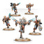 Combat Patrol: Space Wolves