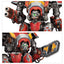 Eye of Terror Battalion: Imperial Knights