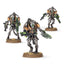 Triarch Praetorians
