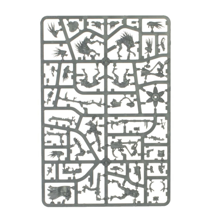 Combat Patrol: Kroot