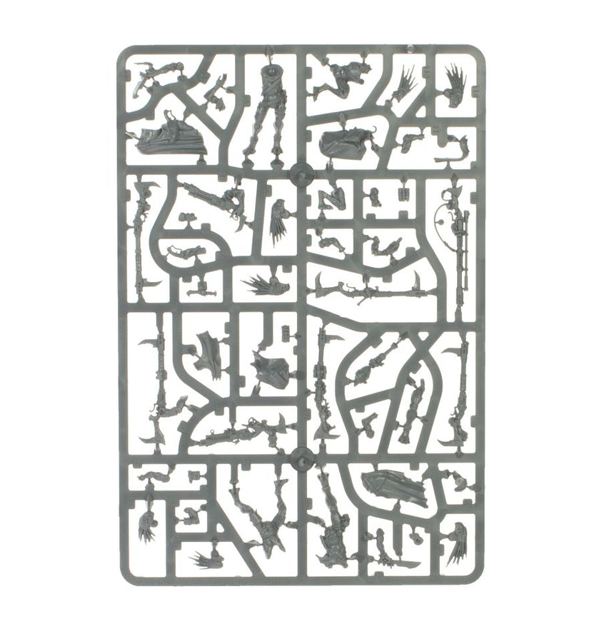Combat Patrol: Kroot