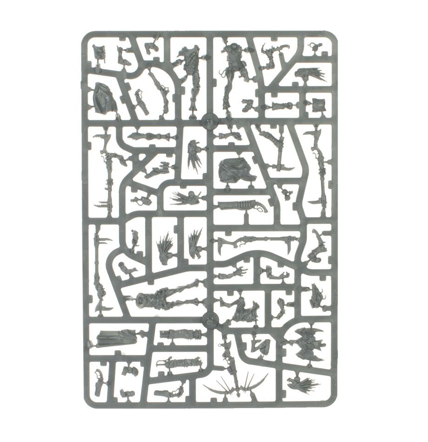 Combat Patrol: Kroot