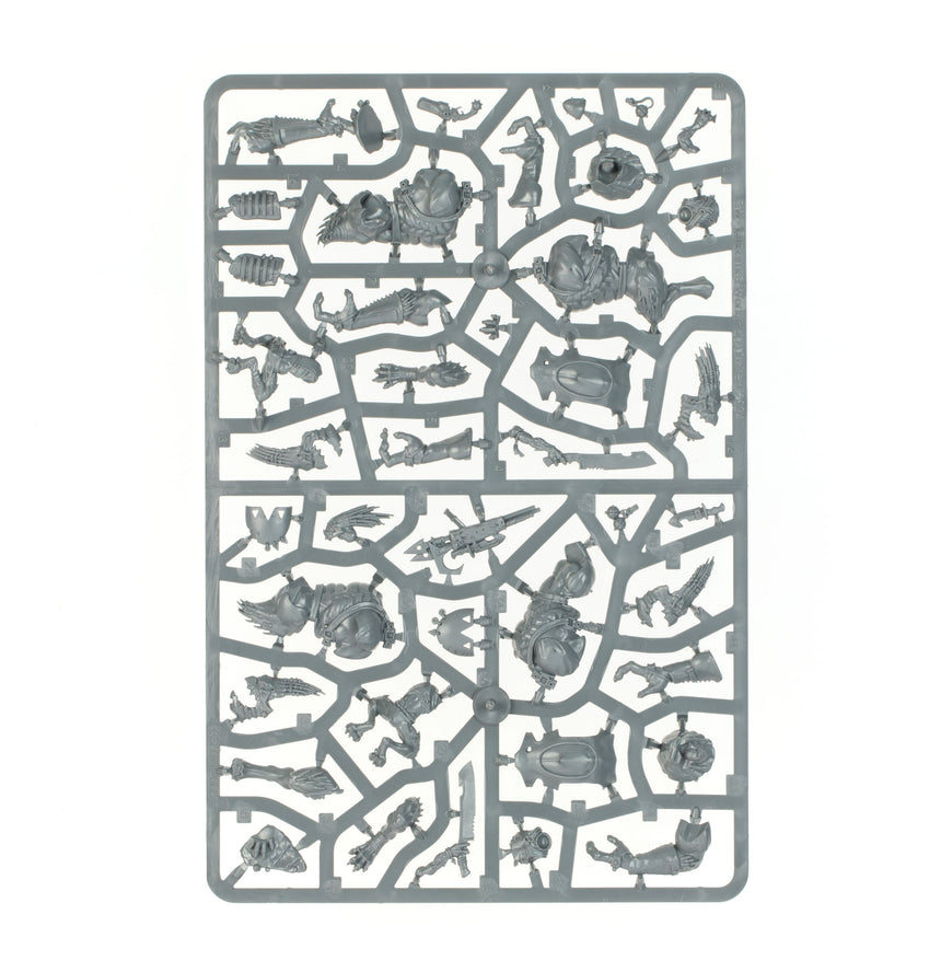 Combat Patrol: Kroot