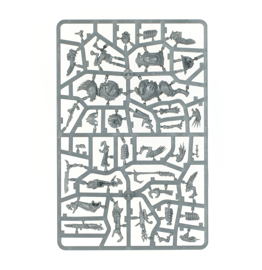 Combat Patrol: Kroot