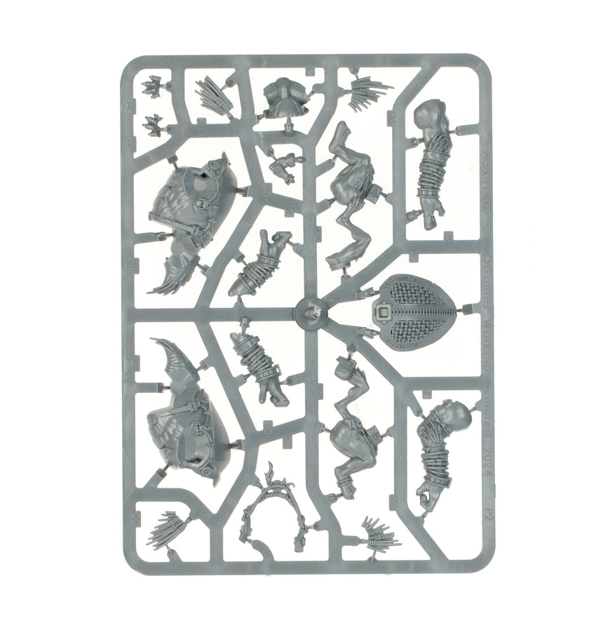 Combat Patrol: Kroot