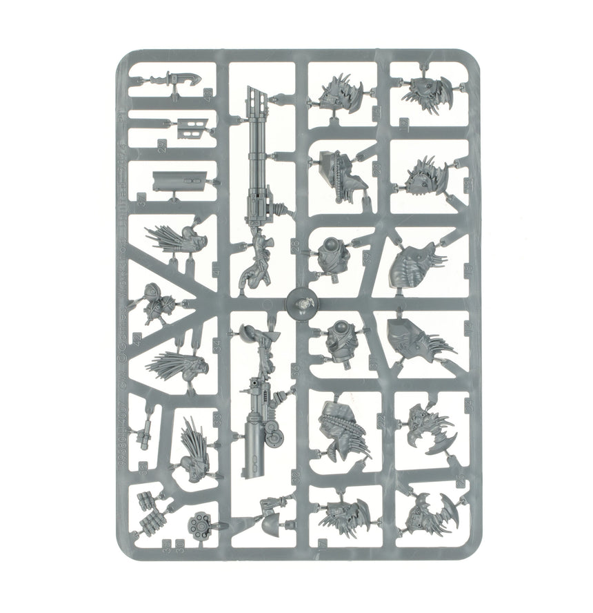 Combat Patrol: Kroot
