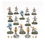 High Elf Blood Bowl Team: The Caledor Dragons