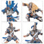 High Elf Blood Bowl Team: The Caledor Dragons