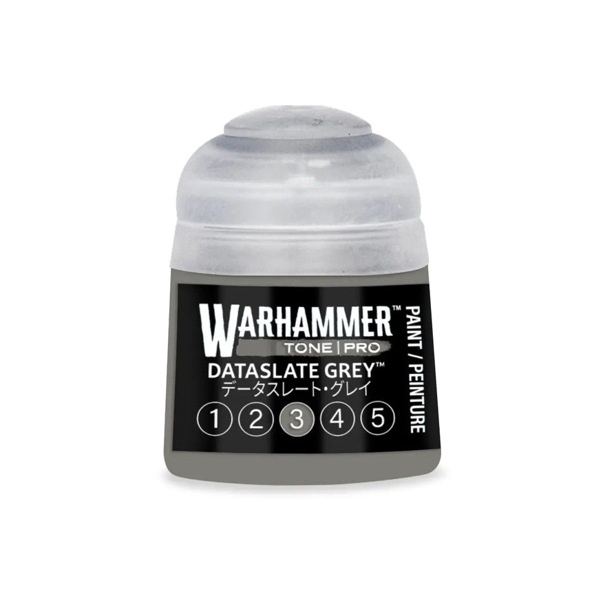 Tone Pro Paint: Dataslate Grey