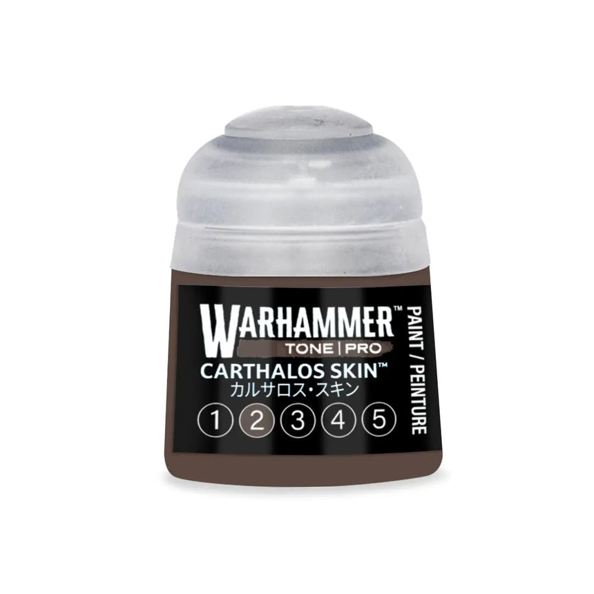 Tone Pro Paint: Carthalos Skin