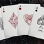 Axolotl Playing Cards (6730715365525)