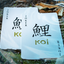 Koi V2 Playing Cards (6692307304597)