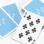 Black Roses Hotel V2 Playing Cards (6671875899541)