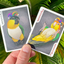 Bicycle Parrot Playing Cards (6911745163413)