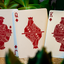 Succulents Playing Cards (6612638924949)