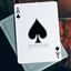 NOC Pro 2021 (Greystone) Playing Cards (7494693847260)