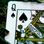 Crossed Keys Playing Cards (6956989743253)