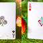 Butterfly Seasons Playing Cards Marked (Spring)