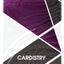 Purple Cardistry - BAM Playing Cards (6365184622741)