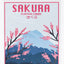 Sakura Playing Cards - BAM Playing Cards (6494321115285)